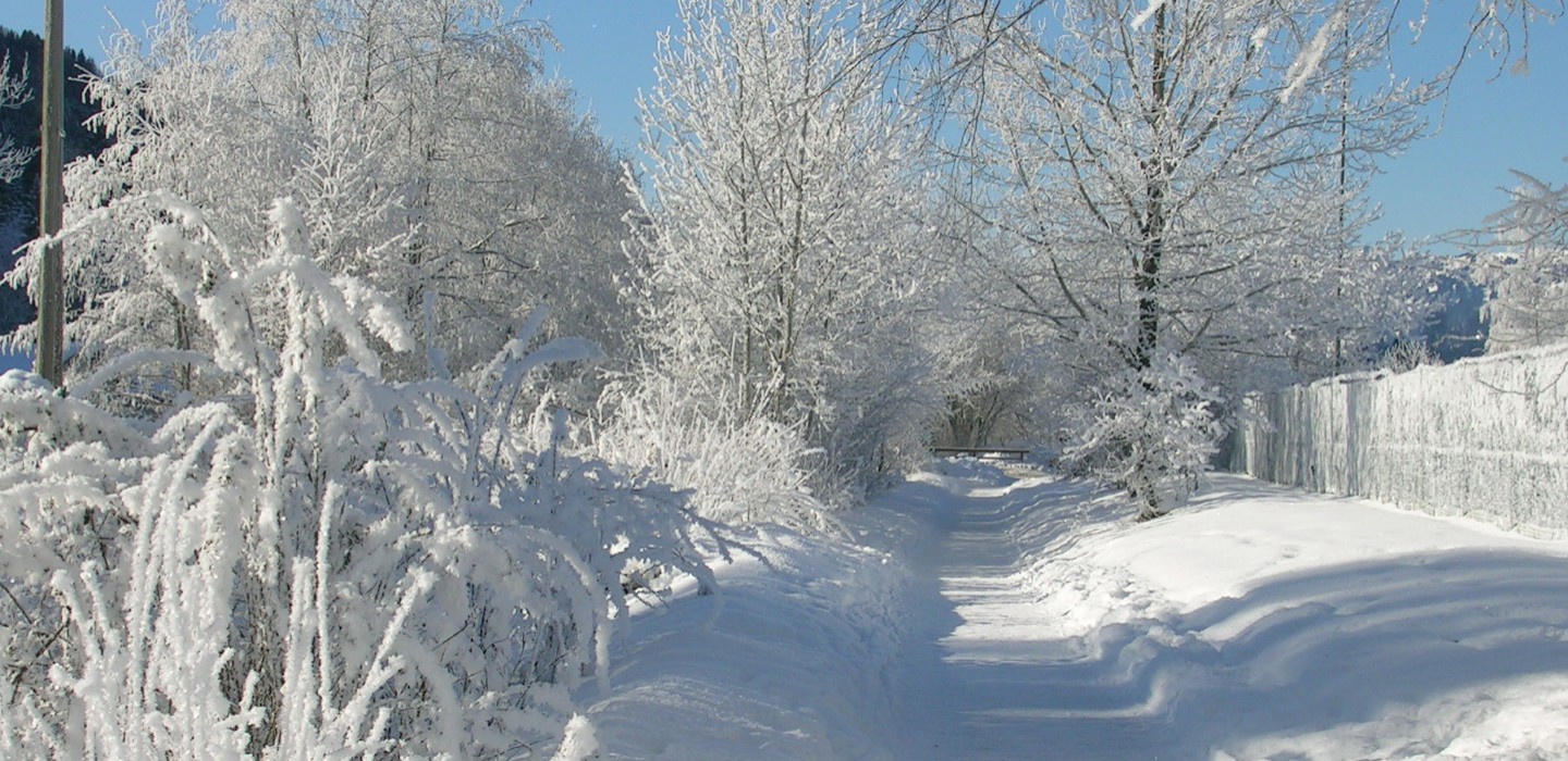 Winter in Bad Hindelang